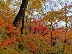 -五女山景区