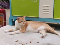 -暨南大学（石牌校区）明湖楼