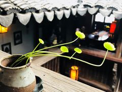 -普洱茶府(博乐广场店)