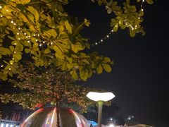 -望海观澜海景音乐餐吧(帆船基地店)