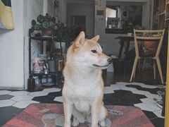 -About Bistro關於·泰式家庭料理