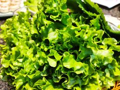 -汉罗山韩式烤肉(平房区南厂绿色新城店)