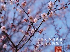 -杭州植物园