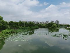 -新江湾城公园