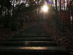 -南京市无想山景区