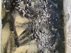 -姥家大锅台水库渔家
