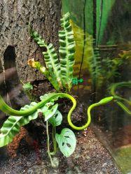 点击看大图 -酷嗒动物文化乐园(cutezoo西溪乐天城店)