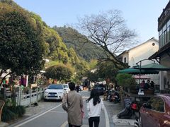 -龙井村
