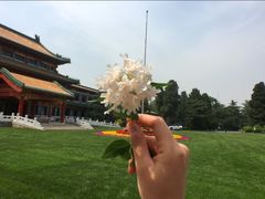 -钓鱼台国宾馆