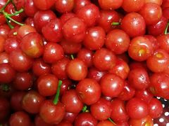 -樱桃山旅游景区