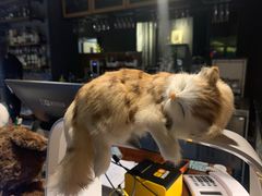 -咖法森林·咖啡  酒吧(天河店)