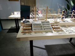 -Trend1881视光·蔡司视觉(领展广场店)