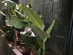 -涟LIAN·泰式按摩·MASSAGE·SPA(华强北店)