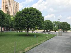 -重庆市江北嘴中央商务区中央公园