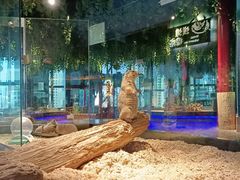 -昆明大悦城未来动物城(螺蛳湾中心店)