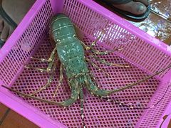 -班赞海鲜市场
