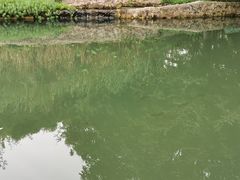 -成都市活水公园