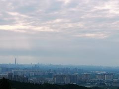 -桃源山庄·水蜜桃采摘·柴火鸡·烧烤团建(龙泉山店)