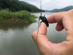 -溪口-滕头旅游景区