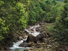-姑婆山旅游区