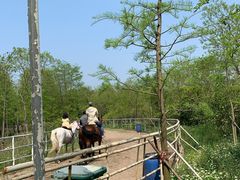 -上海海湾国家森林公园