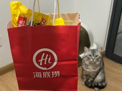 -海底捞火锅(优城店)