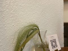 -Ginko银子(青龙街店)