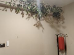 -暗楼·剧本杀·桌游