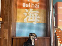 -椰椰大吉(侨港店)