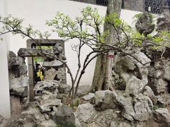 -何园