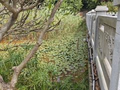 -南国桃园旅游度假区