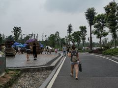 -枫香湖儿童公园