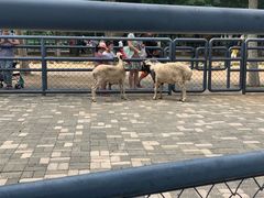 -长白岛森林公园