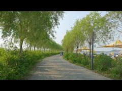 -呼兰河口湿地公园