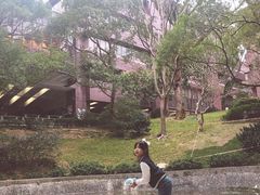 -香港大学