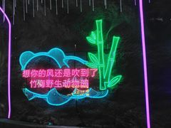 -栾川竹海野生动物园