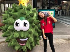 -都念榴莲·城市榴莲