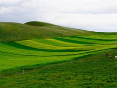 -扁都口生态休闲旅游区