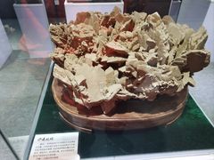-中国第四纪冰川遗迹陈列馆