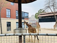 -泉州海丝野生动物世界