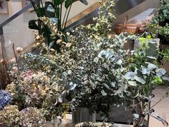 -植物学家的女儿(北马道巷店)