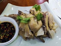 白斩鸡-全乐鱼馆·淳牌有机鱼直营店