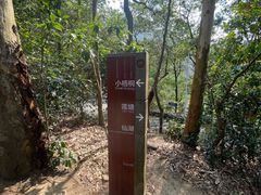 -梧桐山风景名胜区