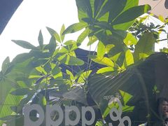-gaga(深圳南山益田假日广场店)