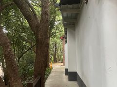 -马王堆汉墓遗址