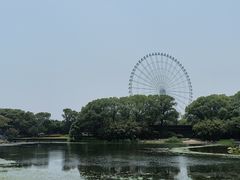 -蠡湖大桥公园