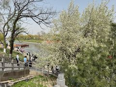 -赵州桥景区