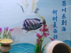 -烟台海昌鲸鲨海洋公园