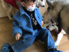-Husky Go! 哈士奇体验馆·宠物咖啡厅狗咖
