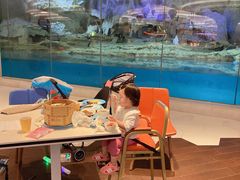 -帝企鹅自助餐厅•儿童岛•真企鹅(长隆企鹅酒店)